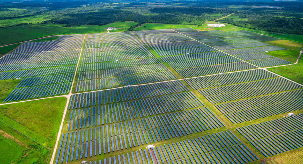 Solar Garden