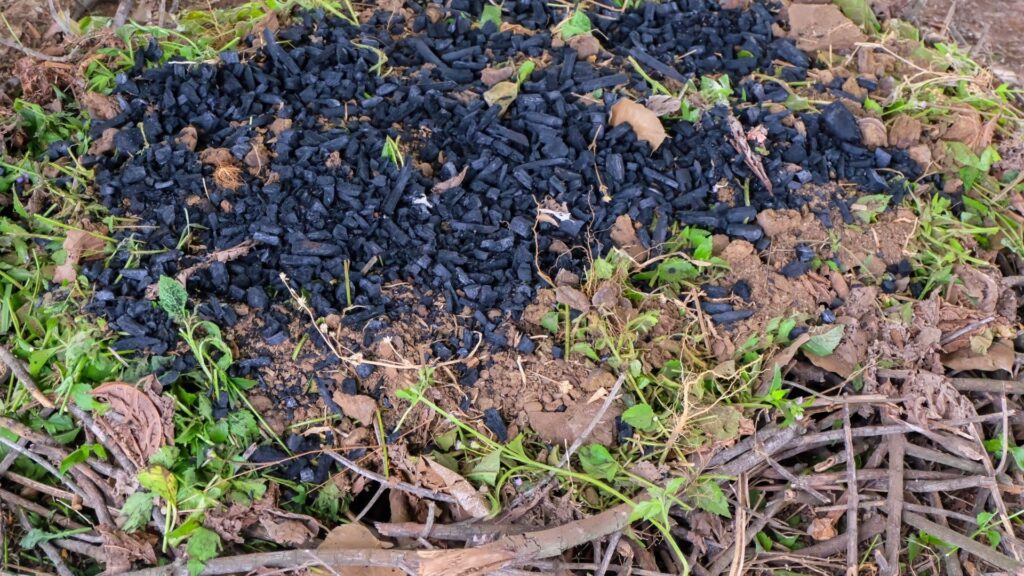 biochar