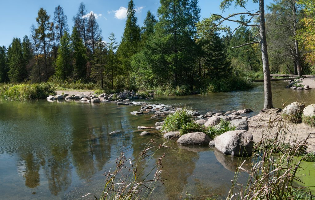 Headwaters of the Mississippi River at Lake Itasca in Minnesota. Bright sunny day, with calm waters and green forest in the background.